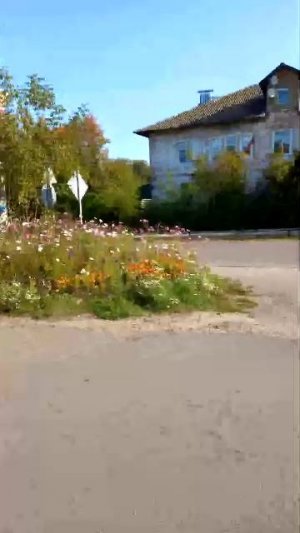 Привет наши дорогие и добыре зрители ) Всем доброго утра)