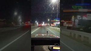 ЧЕРЕЕВОД продолжение