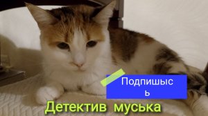 Детектив Муська начало 1 серия 1 сезон