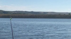 На Свияжских просторах. 14.09.15.