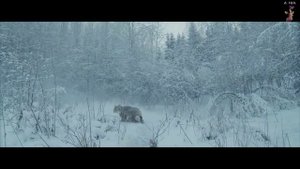 Юта  Жили - были