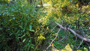 Кувандыкские велоэкскурсии. Кашкук и его озера