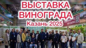 Выставка винограда Казань 2025.