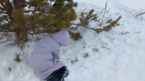 Виктория ,Элиза,Амиля,Разиля подарки под елкой