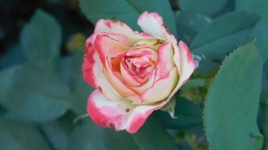 05=09=2025  Ю  КМР  (58)