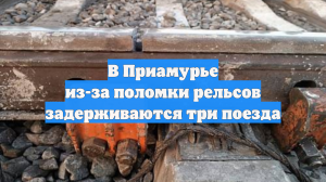 В Приамурье из-за поломки рельсов задерживаются три поезда