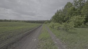 Полевой дорогой между двумя озерами 10 мая 2024 г. (Вольский район, Саратовская обл.)