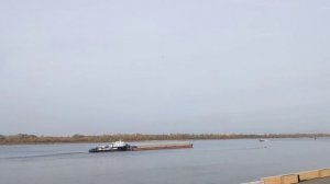 Корабли и кораблики на Волге в Нижнем Новгороде