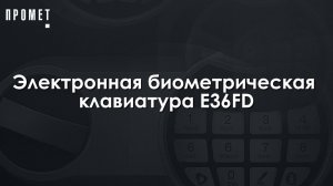 Электронная биометрическая клавиатура Е36FD