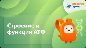 Строение и функции АТФ. Видеоурок по биологии 10 класс