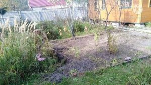 32-2020 Дачный Влог __ Голодная Киска _ Работа На Участке _ Интрига __ Elena Pero