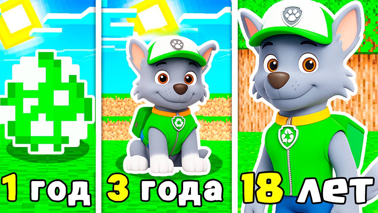 КАК МЕНЯЛСЯ РОККИ ЩЕНЯЧИЙ ПАТРУЛЬ В МАЙНКРАФТ смотреть онлайн