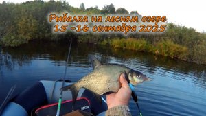 Рыбалка на лесном озере 15 -16 сентября 2025