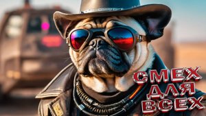 Смешные Собаки, Приколы про Собак, Смешные Животные, Смешные Видео