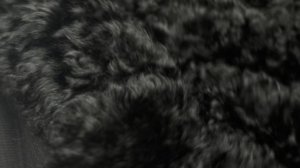 16–11717 Искусственный мех "Тиградо", чёрного цвета