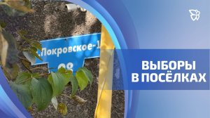 Голосовали в эти дни и в удаленных территориях