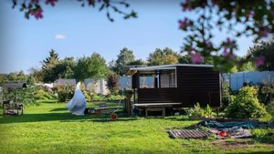 Я это сделала.Мне очень нравится результат.Мята для чайной грядки