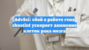 AdvSci: сбой в работе гена shootin1 ускоряет движение клеток рака мозга