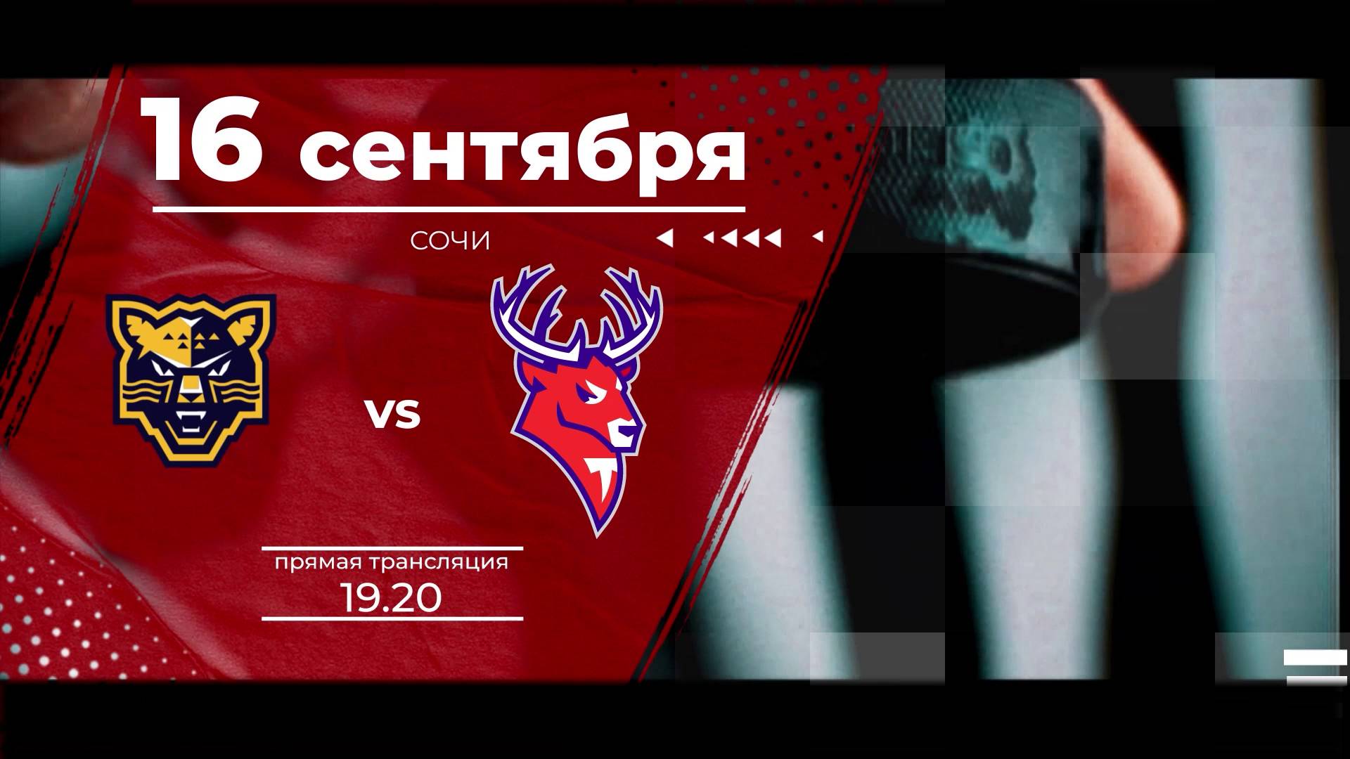 Матч КХЛ "Сочи" - "Торпедо": следите за игрой на телеканале "Нижний Новгород 24" и на радио "Маяк"