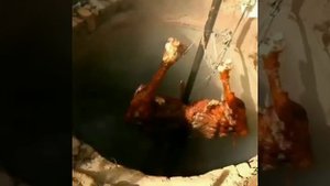 Целый ВЕРБЛЮД Запечённый в Самом Большом ТАНДЫРЕ Whole CAMEL in a TANDOOR НЕОБЫЧНЫЕ Кухни Мира