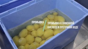 Большая Перемена. Линия вакуумирования