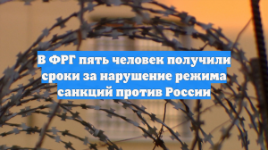 В ФРГ пять человек получили сроки за нарушение режима санкций против России