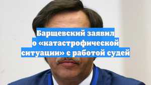 Барщевский заявил о «катастрофической ситуации» с работой судей