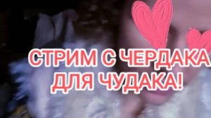 Стрим с чердака для чудака.