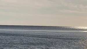 #12сентября2025 Дельфины в Анапе