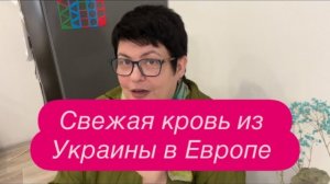 Испанский стыд за украинских беженцев в Латвии. #беженцыизукраины #новости