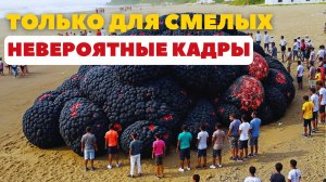 ТОЛЬКО ДЛЯ СМЕЛЫХ! Невероятные Кадры.