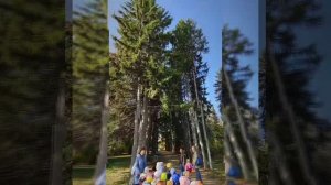 Поход в парк