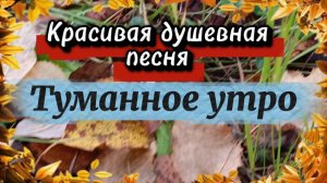 Красивая душевная песня ТУМАННОЕ УТРО.