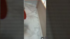 Короче говоря Doors (всë происходило не по настоящему)