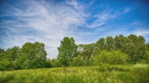 Современная классическая музыка на скрипке | Ecveezer - Air