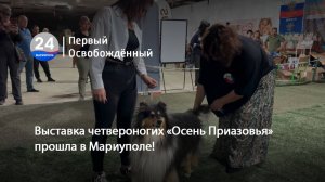 Выставка четвероногих «Осень Приазовья» прошла в Мариуполе! 16.09.2025