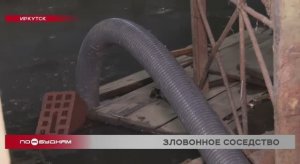 Фекальный водоём вновь появился в подвале дома на улице Ломоносова в Иркутске