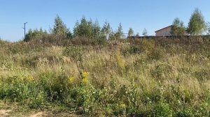 Участки 219-218