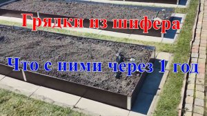 Грядки из шифера через 1 год