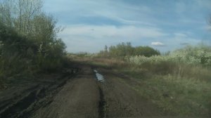 Исчезнувшая деревня Осиновка, Самойловский район.