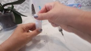 Обработка новой орхидеи бабочки Брауни.
