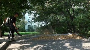 Садовые пылесосы против осенней листвы