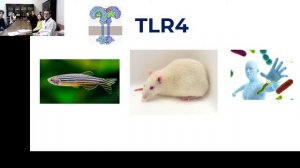 Круглый стол 26.12.23
