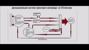 Гиперкапния- вид гипоксической тренировки