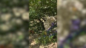 Анонс «Голодные игры: Рассвет жатвы»