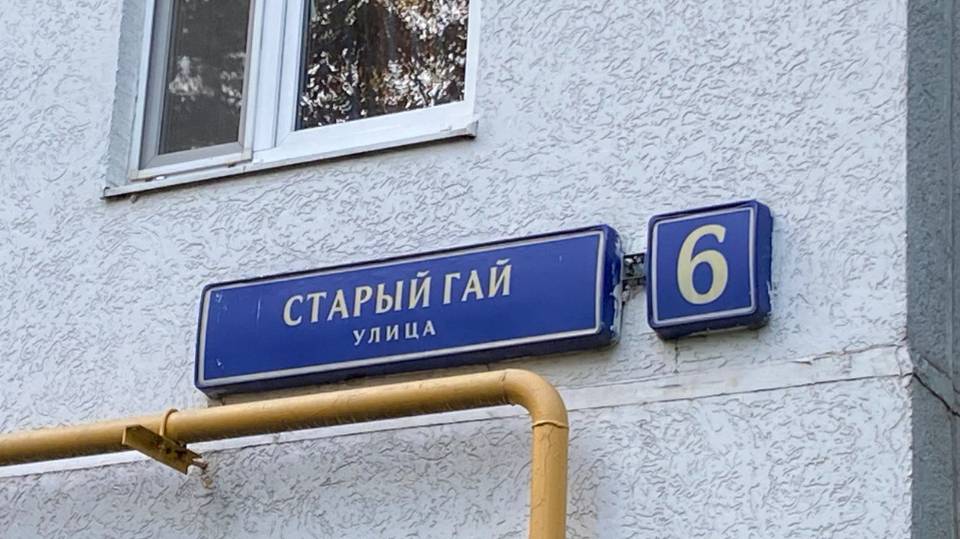 Старый Гай дом 6
