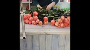 Роза Эквадор сорт Кахала ( пионовидная роза )