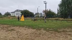 6.  недостаточно/не сдан АЛЛЕМО ХАУС ИРАНА (Targus v. Frosten – Аллемо Хаус Оками)