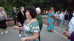 Букет из белых роз...... 14.09.25 Гомель парк Луначарского 🥰💫