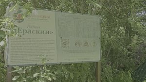 Родники Ераскин и Елисеевский в Хвалынском национальном парке. 15 июня 2024 г.